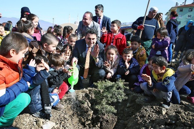 Tokat’ta “20 Bin Fidan 20 Bin Can” Projesi