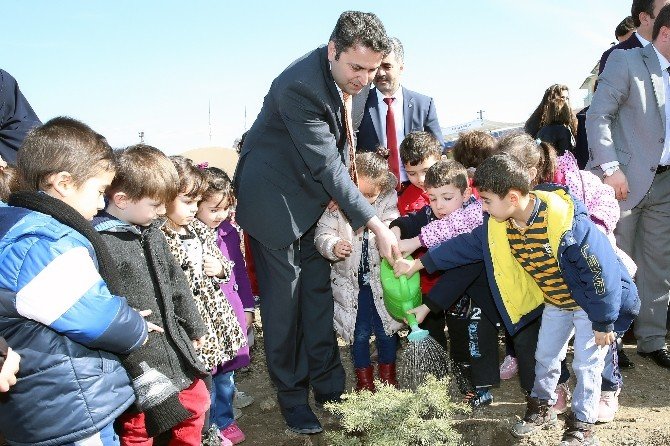 Tokat’ta “20 Bin Fidan 20 Bin Can” Projesi