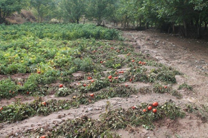 Tokat’ta Sağanak Yağış Sele Sebep Oldu