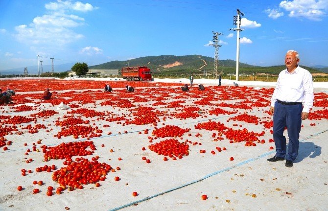 İşsiz Gençler Bu İlçeye Koşuyor