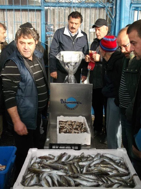 Karadeniz’de Hamsi Göçünü Tamamlamak Üzere
