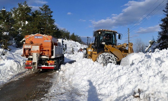 Trabzon Büyükşehir Belediyesi Kar Mücadelesini Sürdürüyor