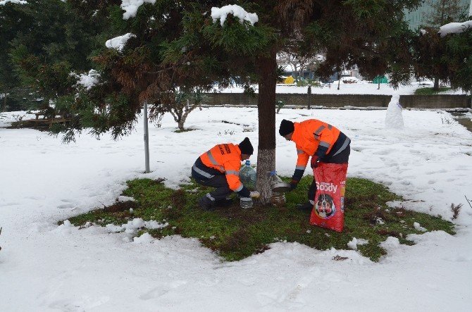 Trabzon’da Sokak Hayvanları Ve Kuşların Beslenebilmesi İçin İstasyonlar Oluşturuldu