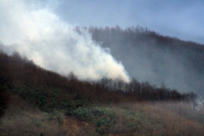 Trabzon’da Orman Yangını Söndürülemiyor