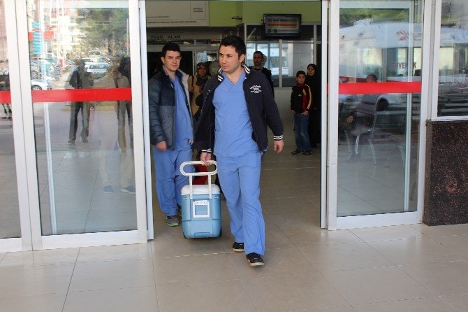 Organları Üç Kişiye Umut Oldu