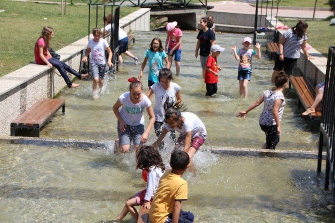 Bozüyük’lüler Türbin Mesire Yerinde Serinliyor