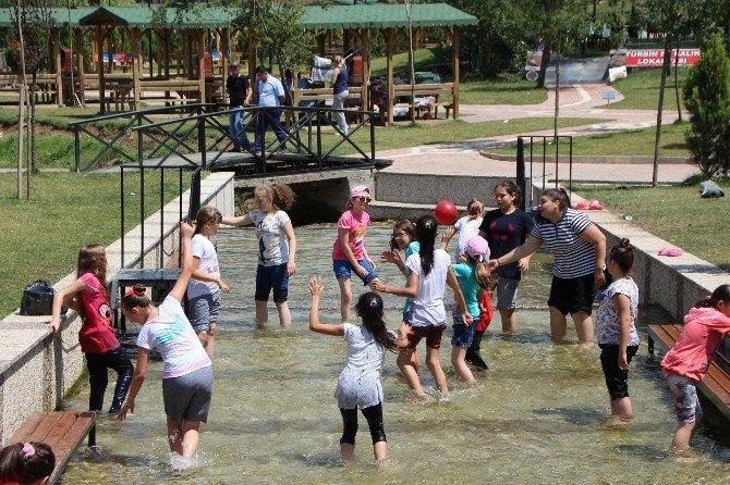 Bozüyük’lüler Türbin Mesire Yerinde Serinliyor