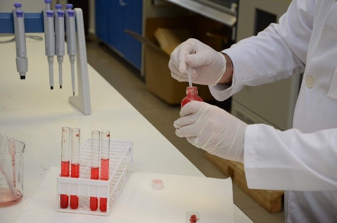 Türk Bilim İnsanları Yerli Malı Yapay Kan Üretti