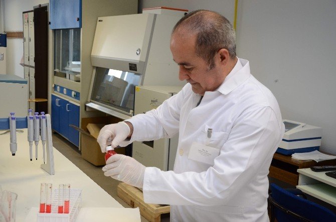 Türk Bilim İnsanları Yerli Malı Yapay Kan Üretti