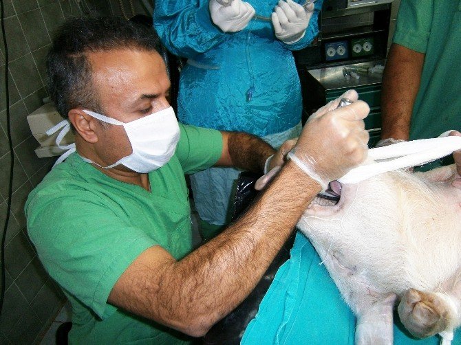 Türk Doktorlarından Çığır Açacak Buluş