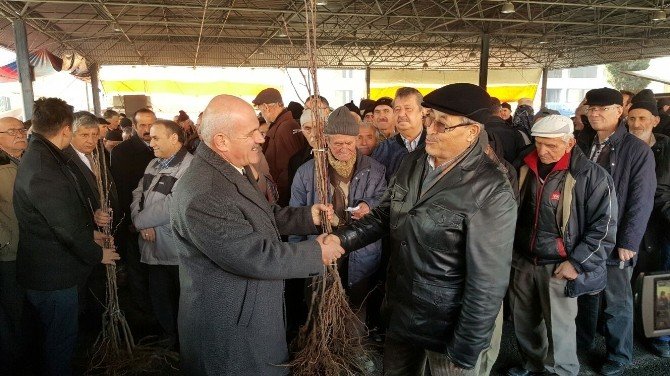 Karabük’te 23 Bin Meyve Fidan Dağıtıldı