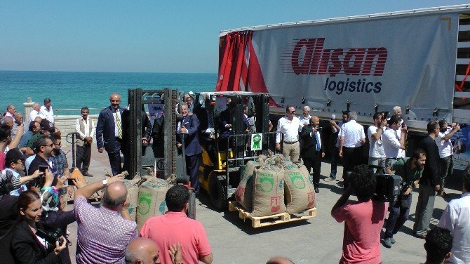 İlk Fındık İhracatı Akçakoca’dan