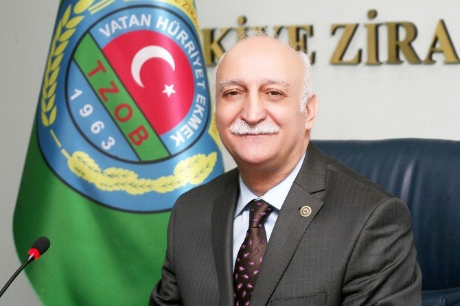 Antalya’da Turuncu Hasat Başladı