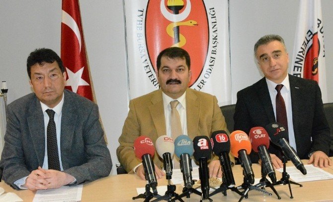 Mide Enfeksiyonu Arıların Yüzde 70’ini Telef Etti