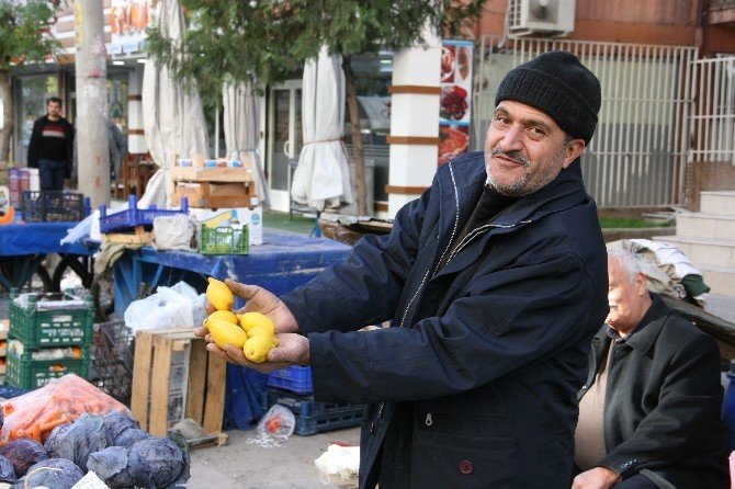Rusya’nın Vazgeçmediği Limonun Kilogramı 1 Tl’ye Düştü