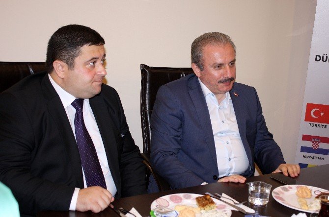 Ak Partili Şentop: “1 Kasım Seçiminden Mutlaka Hükümet Çıkmalıdır”