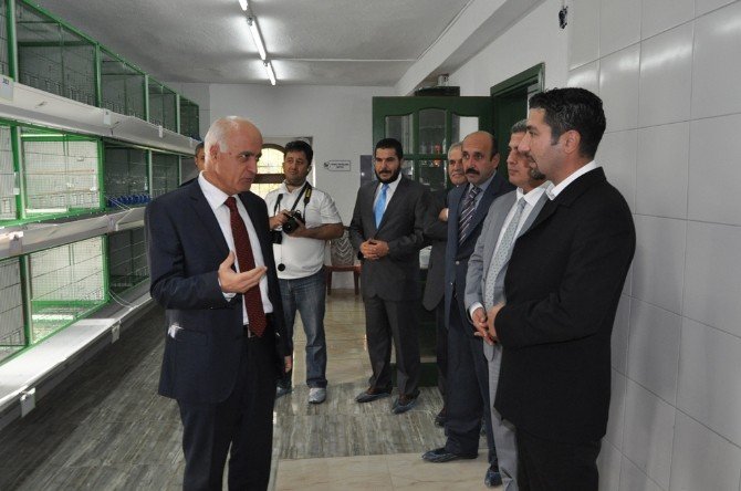 Türkiye’nin İlk Ve Tek Saka Üretim Tesisi Hizmete Girdi