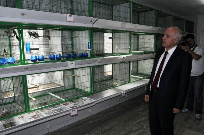 Türkiye’nin İlk Ve Tek Saka Üretim Tesisi Hizmete Girdi