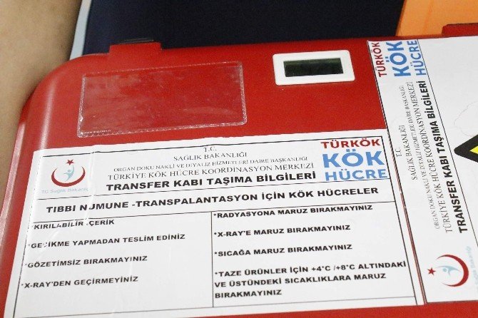 Minik Kübra, Türkkök Projesiyle Hayata Tutundu