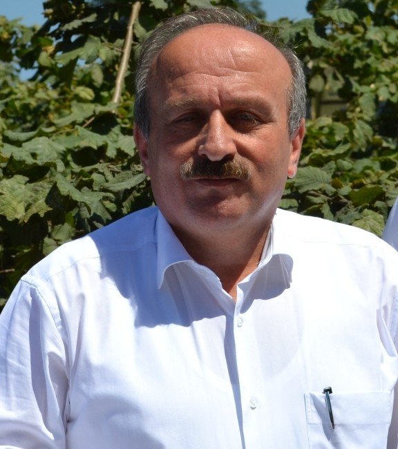Fındıktan 5 Yılda 9.9 Milyar Dolar Gelir