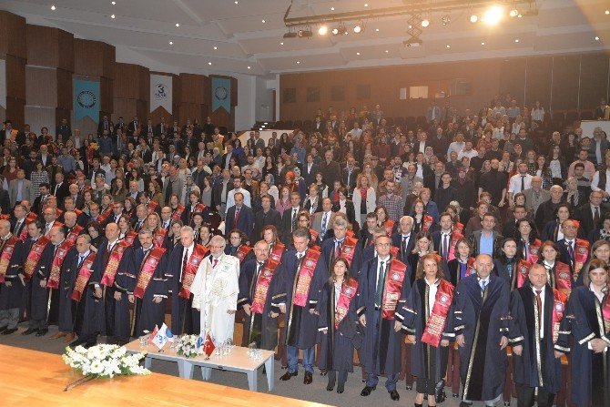Rektör Ulcay: