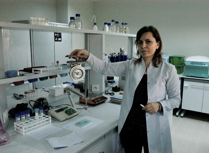 Alerjik Polenler Daha Kolay Tespit Edilecek