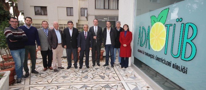 Turunçgilde İhracat Liderliği Mandalinada