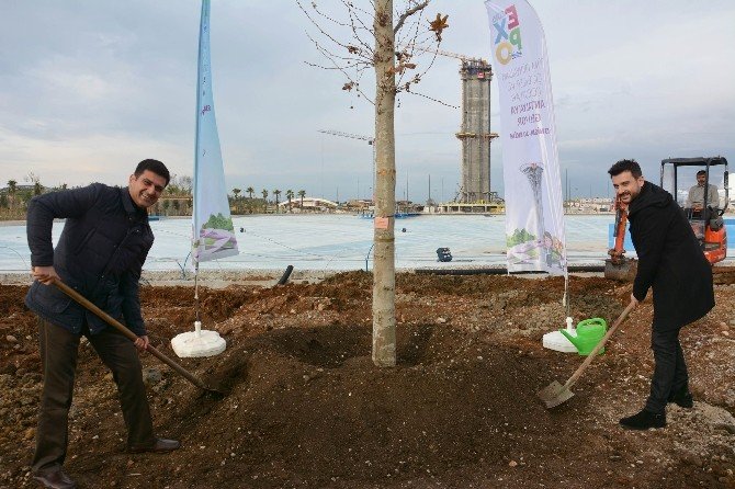 Gökhan Tepe, Expo Ünlüler Ormanına Çınar Ağacı Dikti