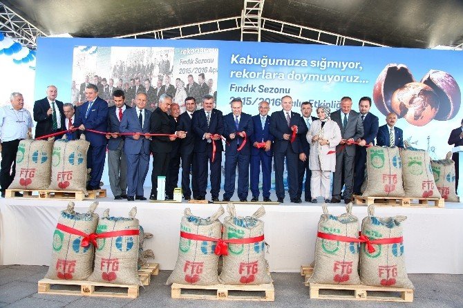 Yeni Sezon Fındık İhracatı Akçakoca’da Şenlikle Start Aldı