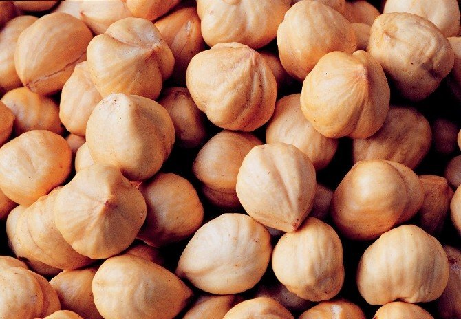 Her Gün Bir Avuç Fındık Kanserden Koruyor