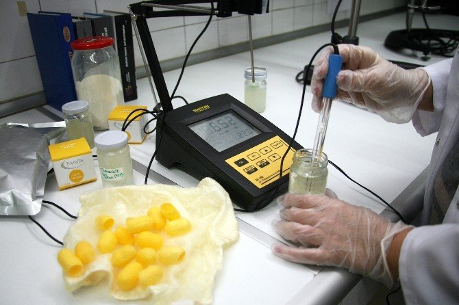 Kuru Ciltlere Sarı Koza İle Çözüm