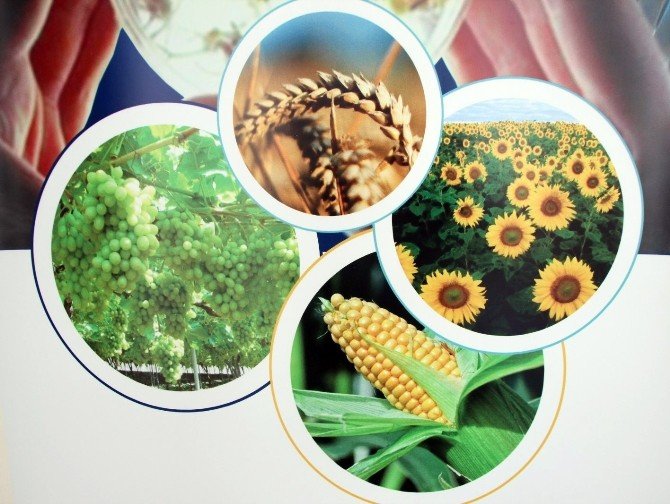 Prof. Dr. Mehmet Demirci: “Gelişmiş Ülkelerde Şişmanlık Yüzde 50’lerde”