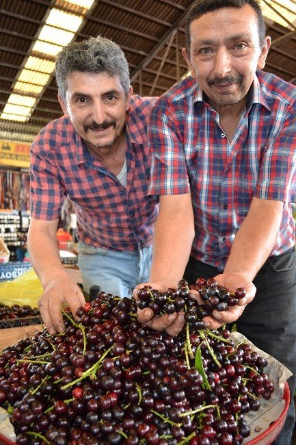 Karayemiş, Sinir Yatıştırıyor