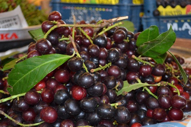 Karayemiş, Sinir Yatıştırıyor