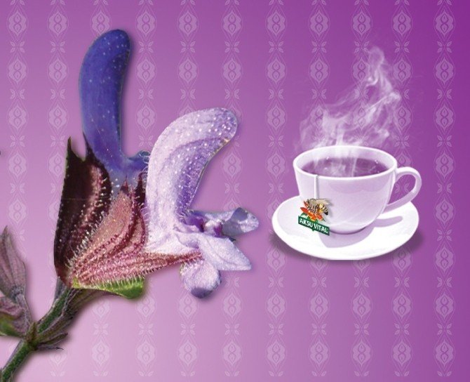 "Bitki Çayları İle Vücut Direncinizi Arttırın"