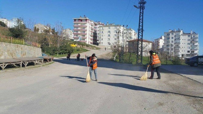 Sinop Belediyesi Temizlik Çalışmaları