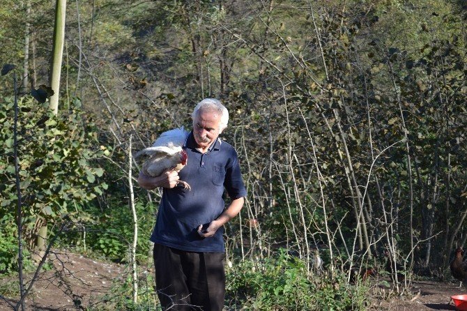 Vali Olamadı Çiftçi Oldu
