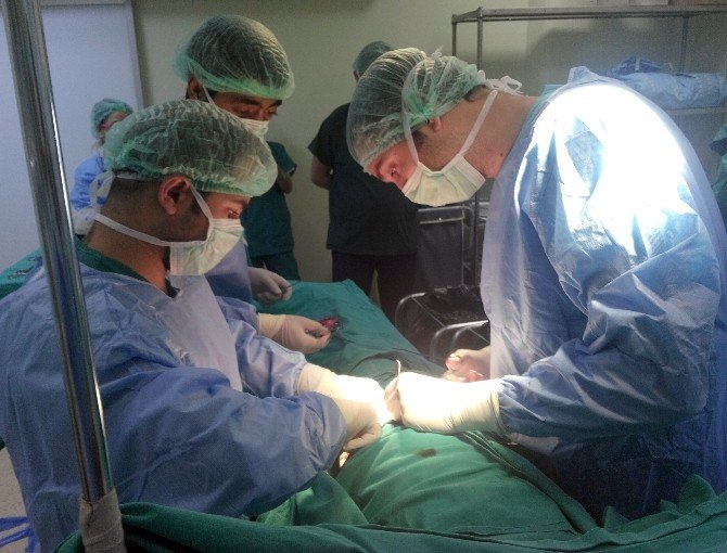 Gevaş’ta İlk Defa ’Rahim Alınması’ Ameliyatı Yapıldı