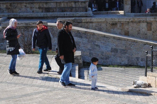 Amasya’da Şubat Baharı