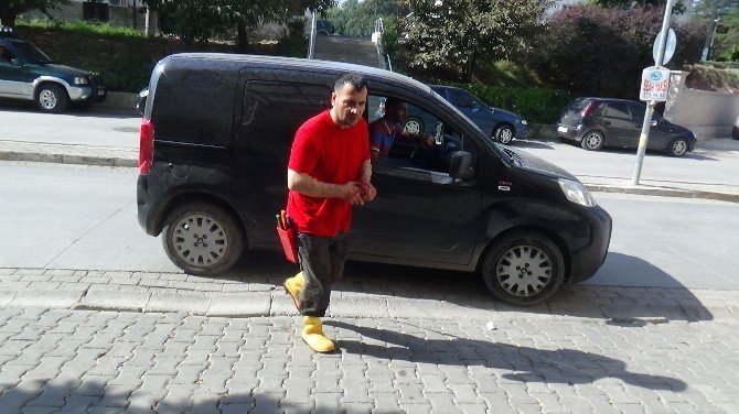 Sakarya’da Acemi Kasaplar Hastanelik Oldu