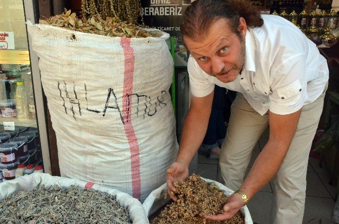 Ihlamur Fiyatı Yüzde 250 Arttı