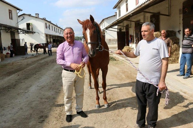 Salman, Yürüyen Köşk Koşusu İçin Ekinci’den Söz Aldı