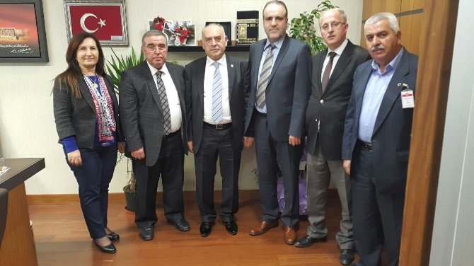 Yalova’da Sağlık Serbest Bölgesi Çalışmaları Sürüyor
