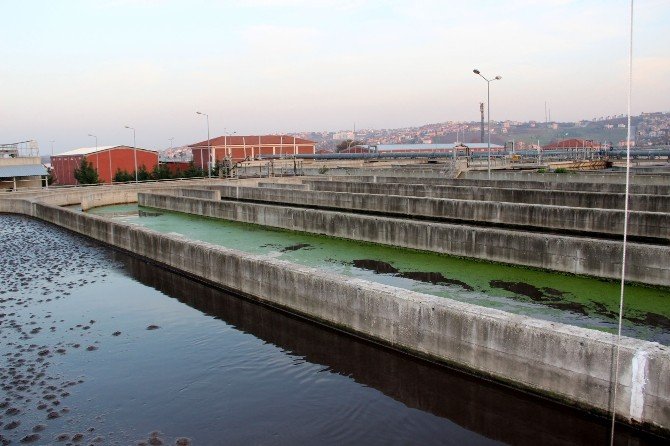 Yalova Arıtma Tesisi Kendi Enerjisini Kendi Üretecek