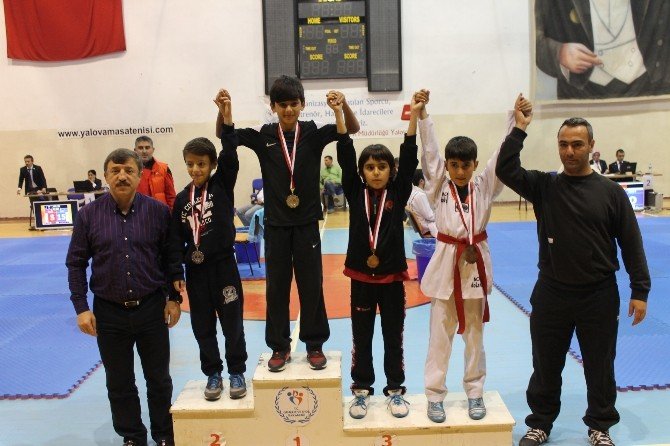 Yalova’da Taekwondo Müsabakaları Nefes Kesti