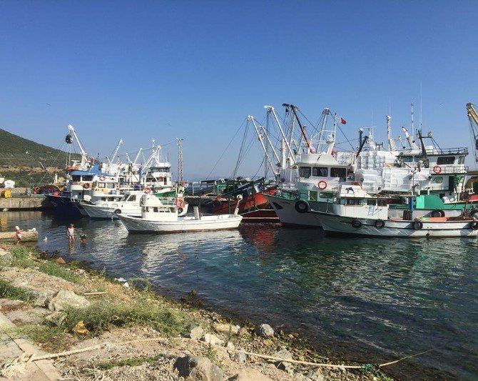 Yalovalı Balıkçılar Karadeniz’in Yolunu Tuttu