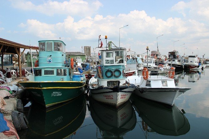 Yalovalı Balıkçılar Karadeniz’in Yolunu Tuttu