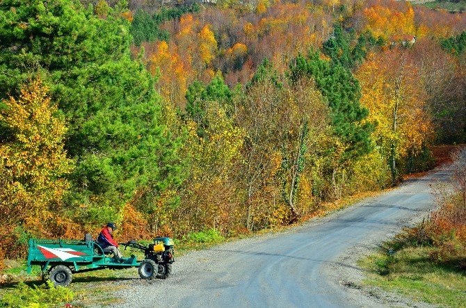 Zonguldak’ta Sonbahar