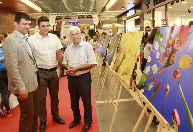 Expo 206 Antalya Fotoğraf Yarışmasında Ödüller Sahiplerini Buldu