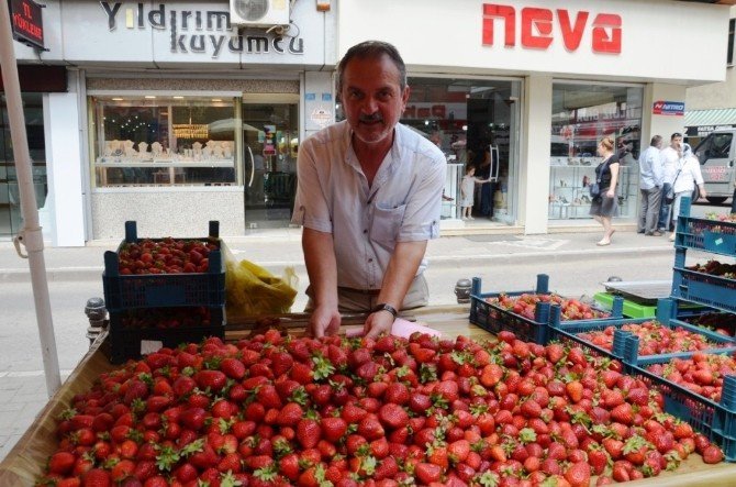 Yerli Çilek Tezgahlarda